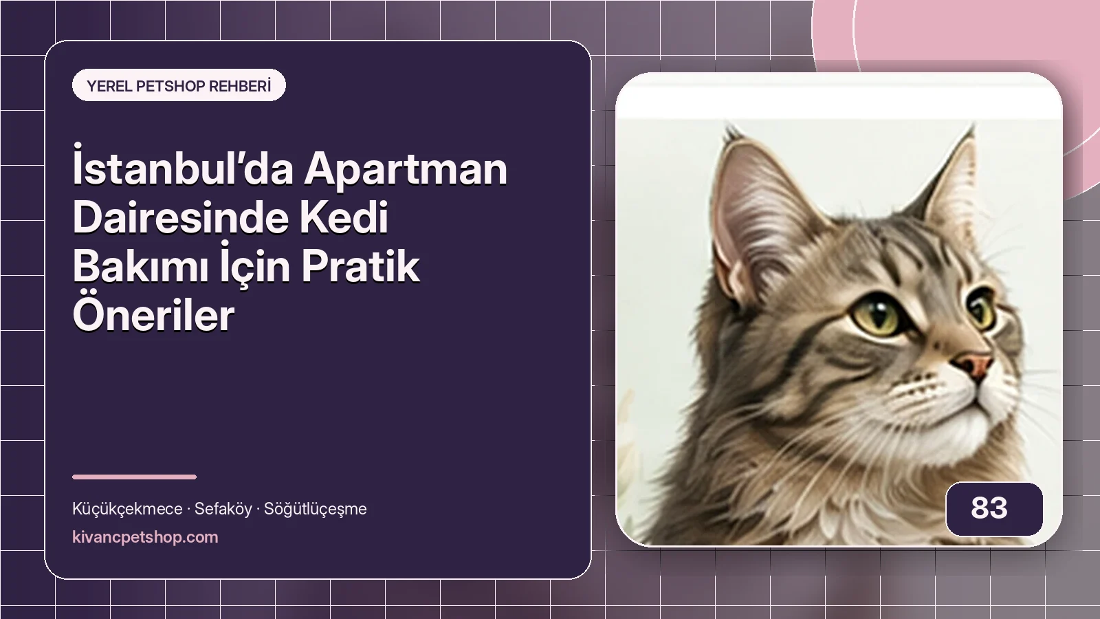 İstanbul’da Apartman Dairesinde Kedi Bakımı İçin Pratik Öneriler için Kıvanç Petshop bakım rehberi