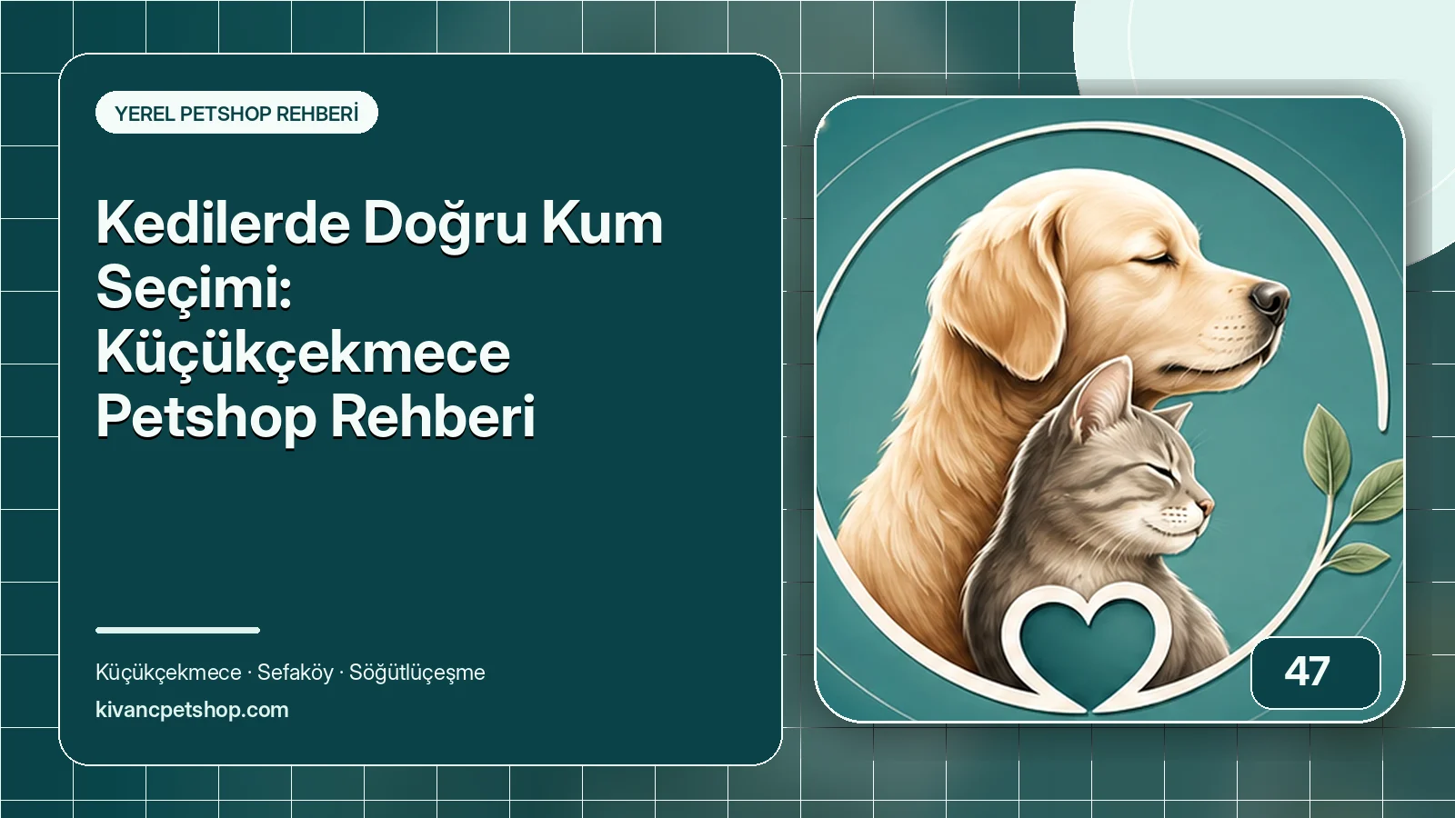 Kedilerde Doğru Kum Seçimi: Küçükçekmece Petshop Rehberi için Kıvanç Petshop bakım rehberi