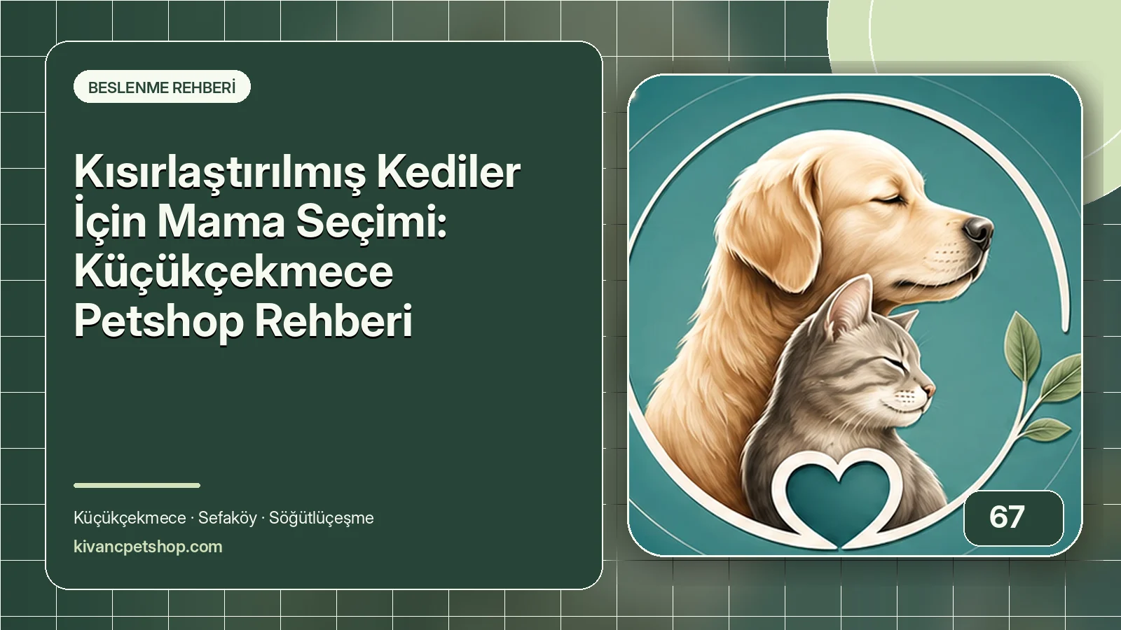 Kısırlaştırılmış Kediler İçin Mama Seçimi: Küçükçekmece Petshop Rehberi için Kıvanç Petshop rehber kapak görseli