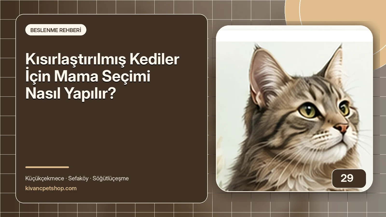 Kısırlaştırılmış Kediler İçin Mama Seçimi Nasıl Yapılır? için Kıvanç Petshop bakım rehberi