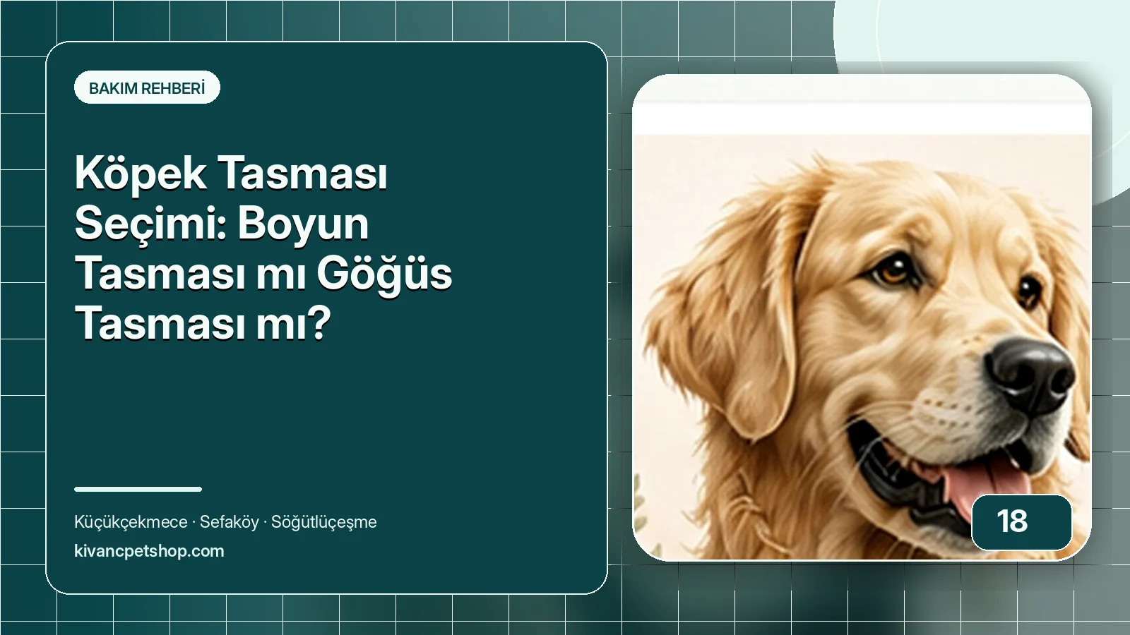 Köpek Tasması Seçimi: Boyun Tasması mı Göğüs Tasması mı? için Kıvanç Petshop bakım rehberi
