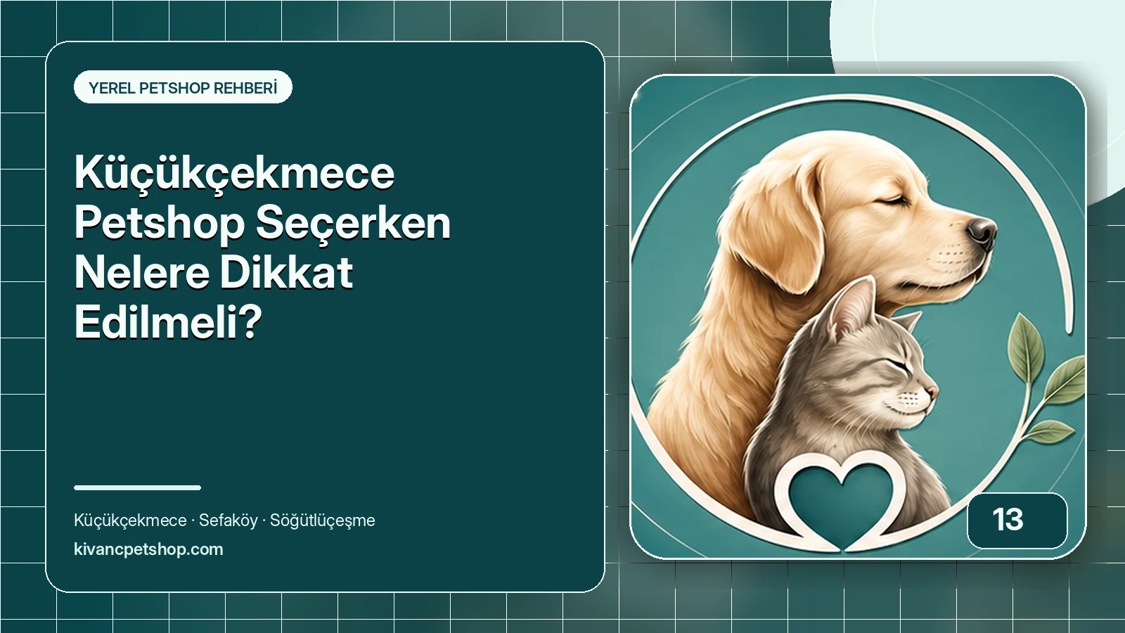 Küçükçekmece Petshop Seçerken Nelere Dikkat Edilmeli? için Kıvanç Petshop rehber kapak görseli