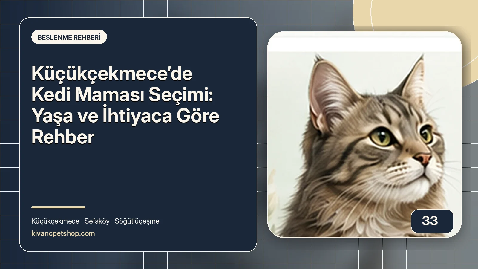 Küçükçekmece’de Kedi Maması Seçimi: Yaşa ve İhtiyaca Göre Rehber için Kıvanç Petshop rehber kapak görseli