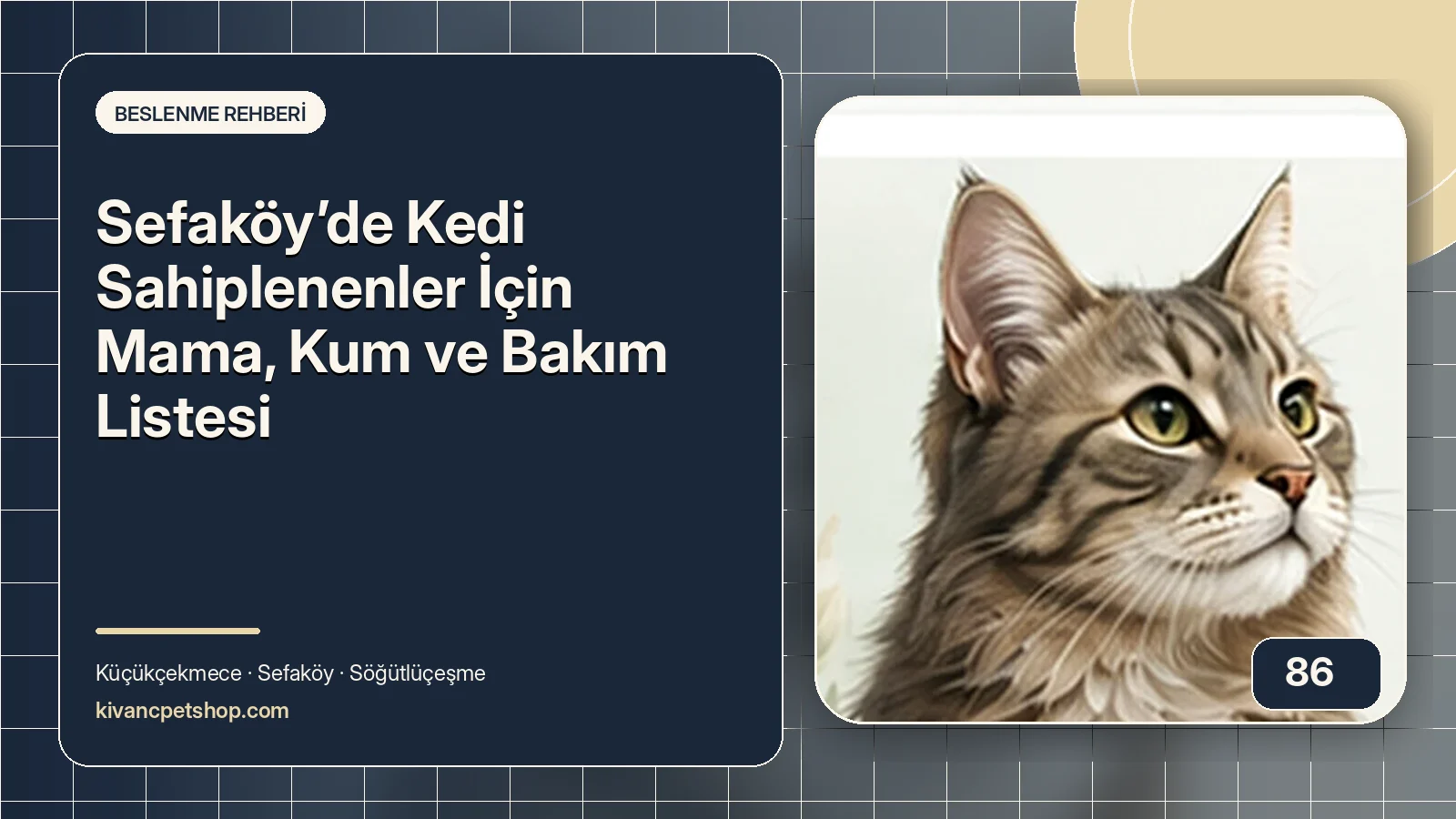Sefaköy’de Kedi Sahiplenenler İçin Mama, Kum ve Bakım Listesi için Kıvanç Petshop bakım rehberi
