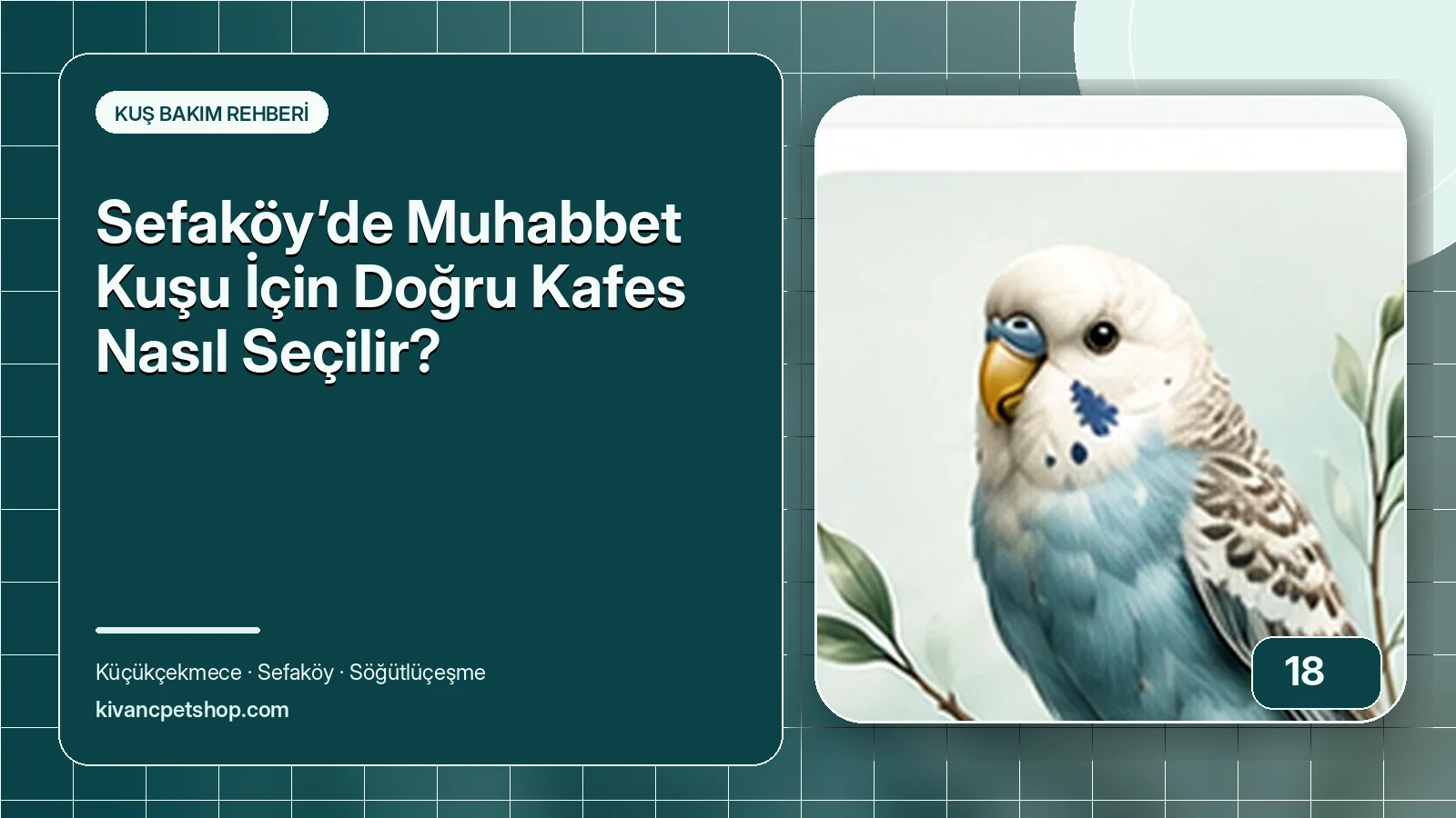 Sefaköy’de Muhabbet Kuşu İçin Doğru Kafes Nasıl Seçilir? için Kıvanç Petshop bakım rehberi