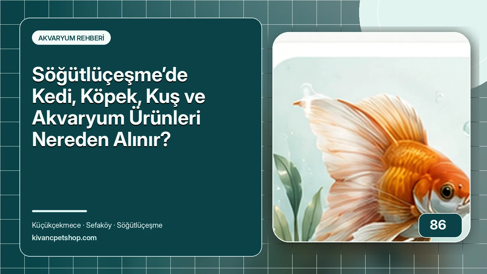 Söğütlüçeşme’de Kedi, Köpek, Kuş ve Akvaryum Ürünleri Nereden Alınır? için Kıvanç Petshop rehber kapak görseli