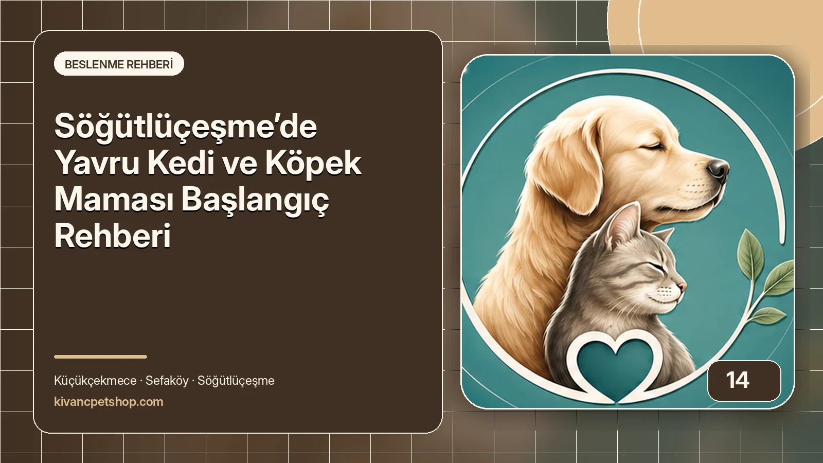 Söğütlüçeşme’de Yavru Kedi ve Köpek Maması Başlangıç Rehberi için Kıvanç Petshop rehber kapak görseli