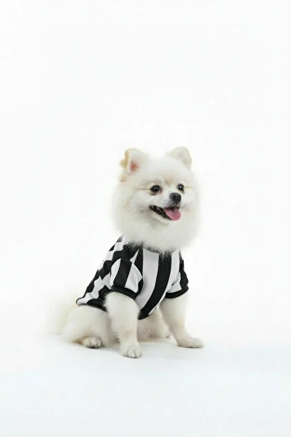 Little Paws Petshop Be?ikta? Tasarımlı Kedi ve Köpek Forması (M)
