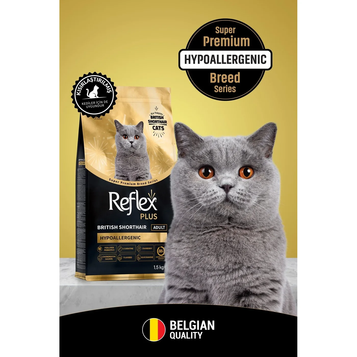 Reflex Plus British Shorthair Yetişkin Kedi Maması (1,5 kg)