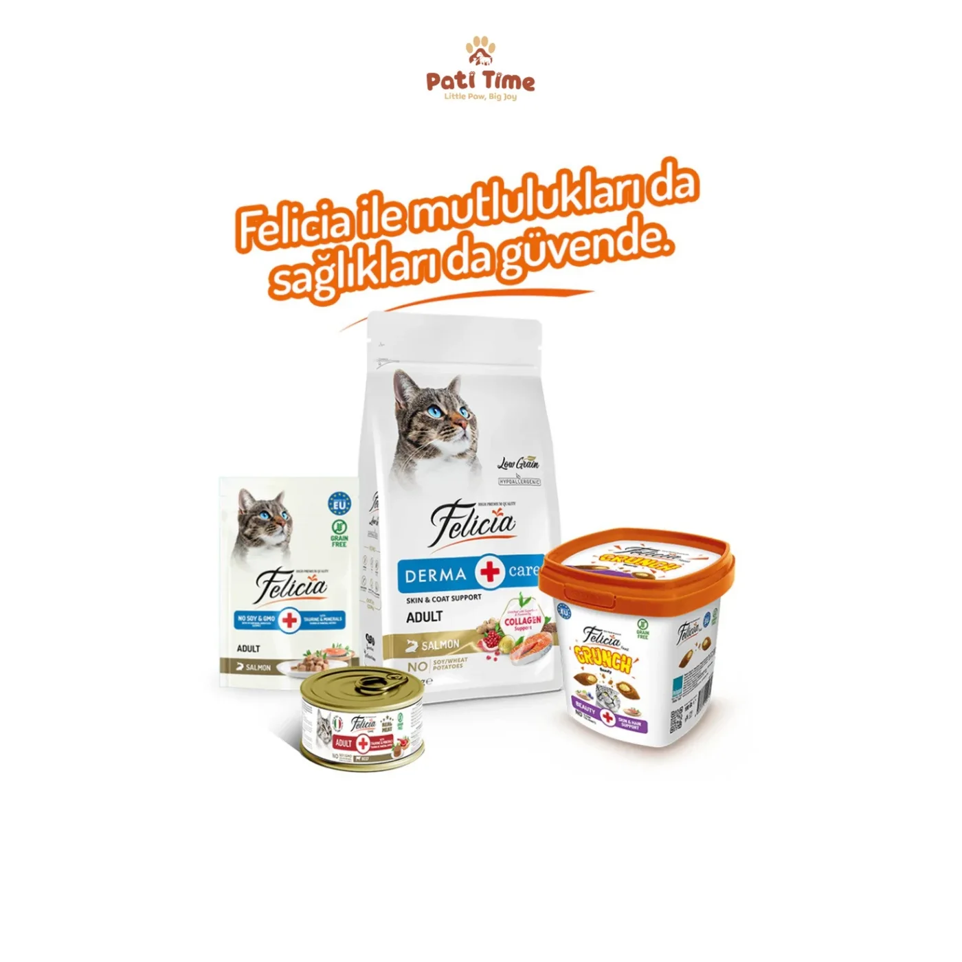 Felicia Crunch Beauty Tavuk Etli ve Somonlu Kedi Ödül Maması (100 g)