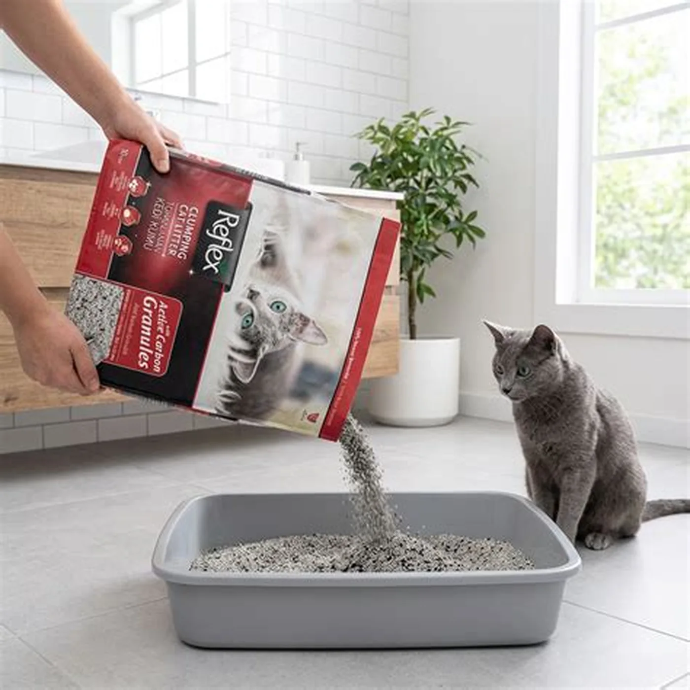Pet Clay Hızlı Topaklanan Aktif Karbonlu Kedi Kumu (10 L)