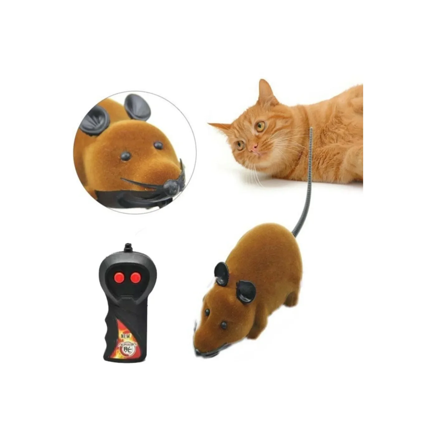 Lion Uzaktan Kumandal? Fare Kedi Oyunca??