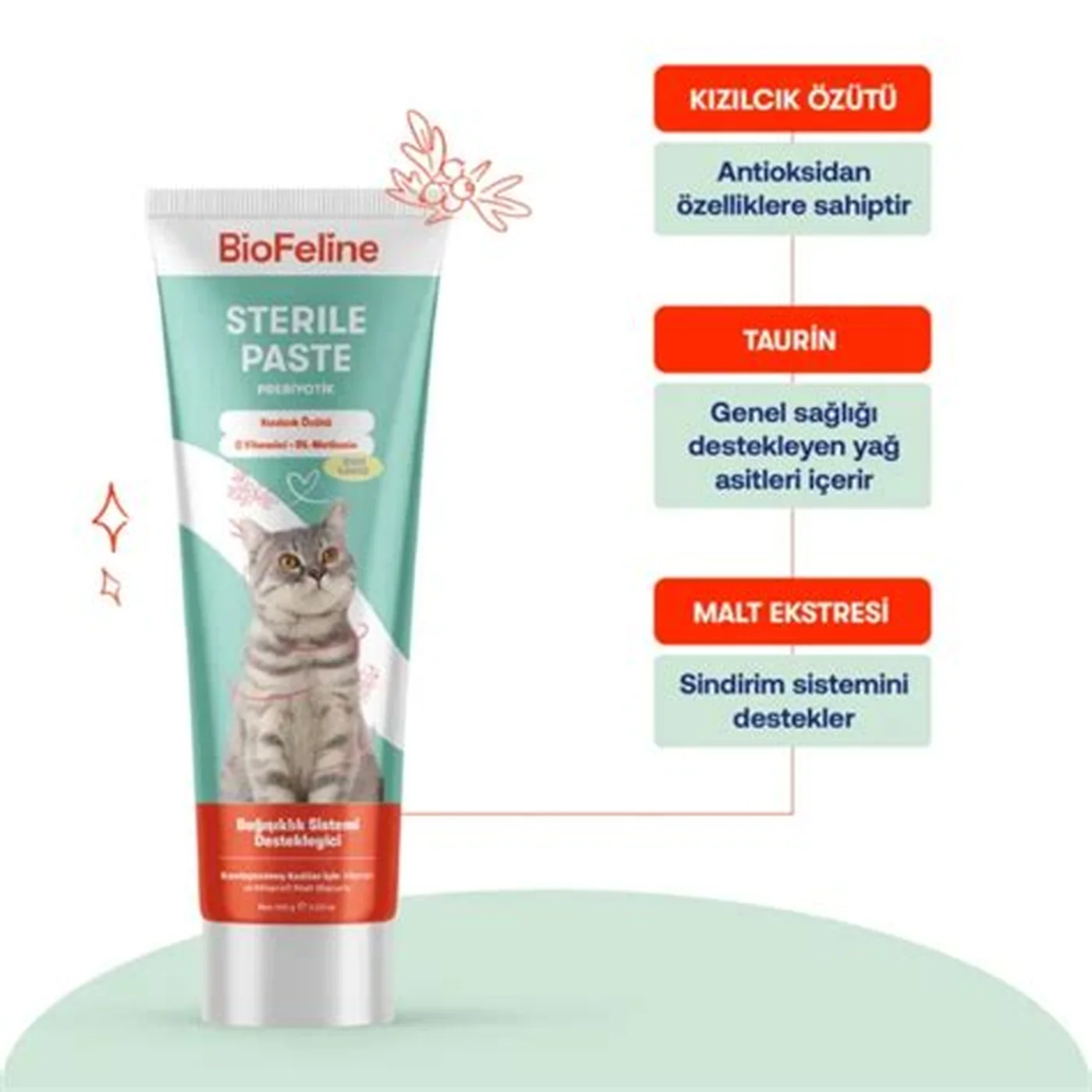 Biofeline Sterile Paste Kısırlaştırılmış Kedilere Özel Malt Macunu (100 g)