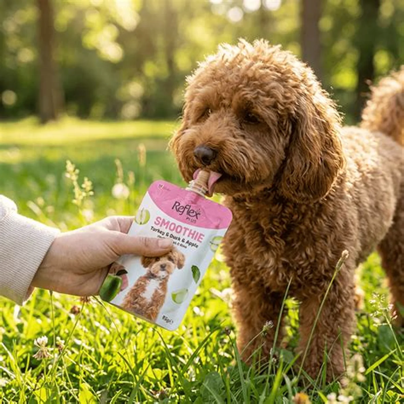 Wanpy Biftek Etli ve Ciğer Etli Köpek Ödül Maması (40 g)