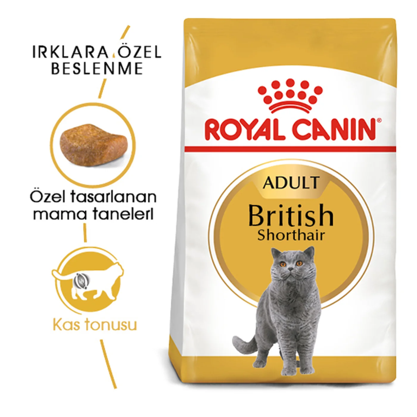 Royal Canin British Shorthair Yetişkin Kedi Maması (400 g)